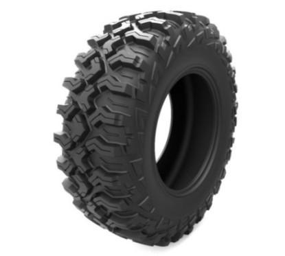 Arisun AR30 30x10 R15 69M