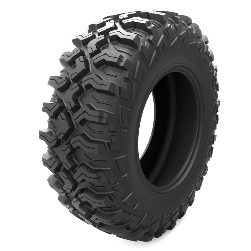 Arisun AR30 30x10 R14 70M