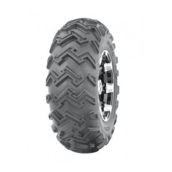 JOURNEY P306A 22X8-10 36J