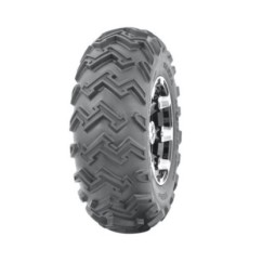 JOURNEY P306A 22X8-10 36J