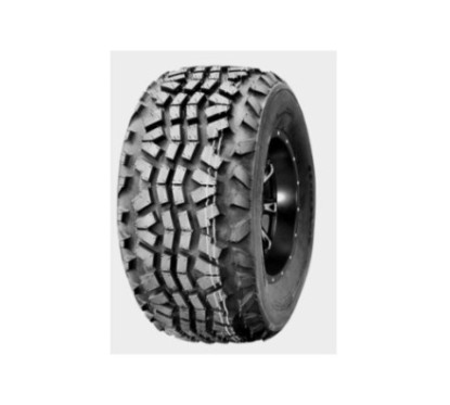 JOURNEY P3077 22x11-10 98A3