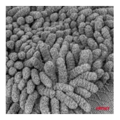 Rękawica do mycia samochodu z mikrofibry Cwash-09